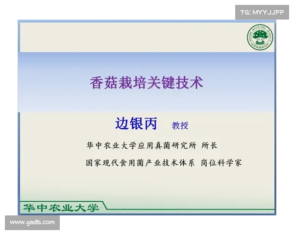 新手快速提升精灵捕捉技巧的实用方法和注意事项