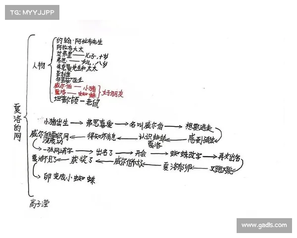 揭开人物背后隐藏身份的关键技巧与思维策略分析 揭开人物背后隐藏身份的关键技巧与思维策略分析
