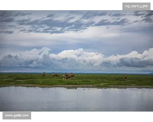 沼光湖的幽怨传说与灵异事件探秘:揭开湖泊深处的神秘面纱 沼光湖的幽怨传说与灵异事件探秘:揭开湖泊深处的神秘面纱