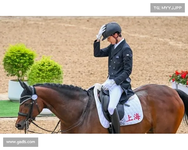 如何全面评估上海马术比赛中赛马的表现与竞技状态