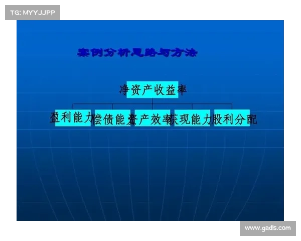 如何通过优化财务管理提升俱乐部盈利能力与可持续发展
